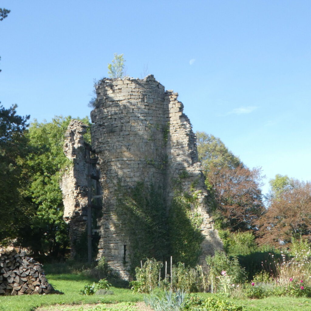 vestiges de la tour charlemagne à Chateau Chalon